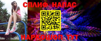spice Краснознаменск