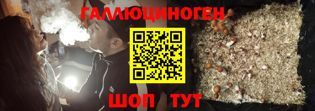 даркнет сайт  Псилоцибиновые грибы GOLDEN TEACHER  Вход с VPN  Красноармейск 