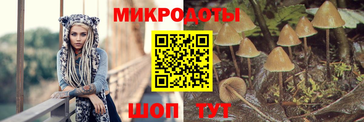 Галлюциногенные грибы MAGIC MUSHROOMS Красноармейск